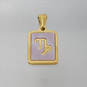 Stainless Steel Square Shell Zodiac Necklace - Ceejaies